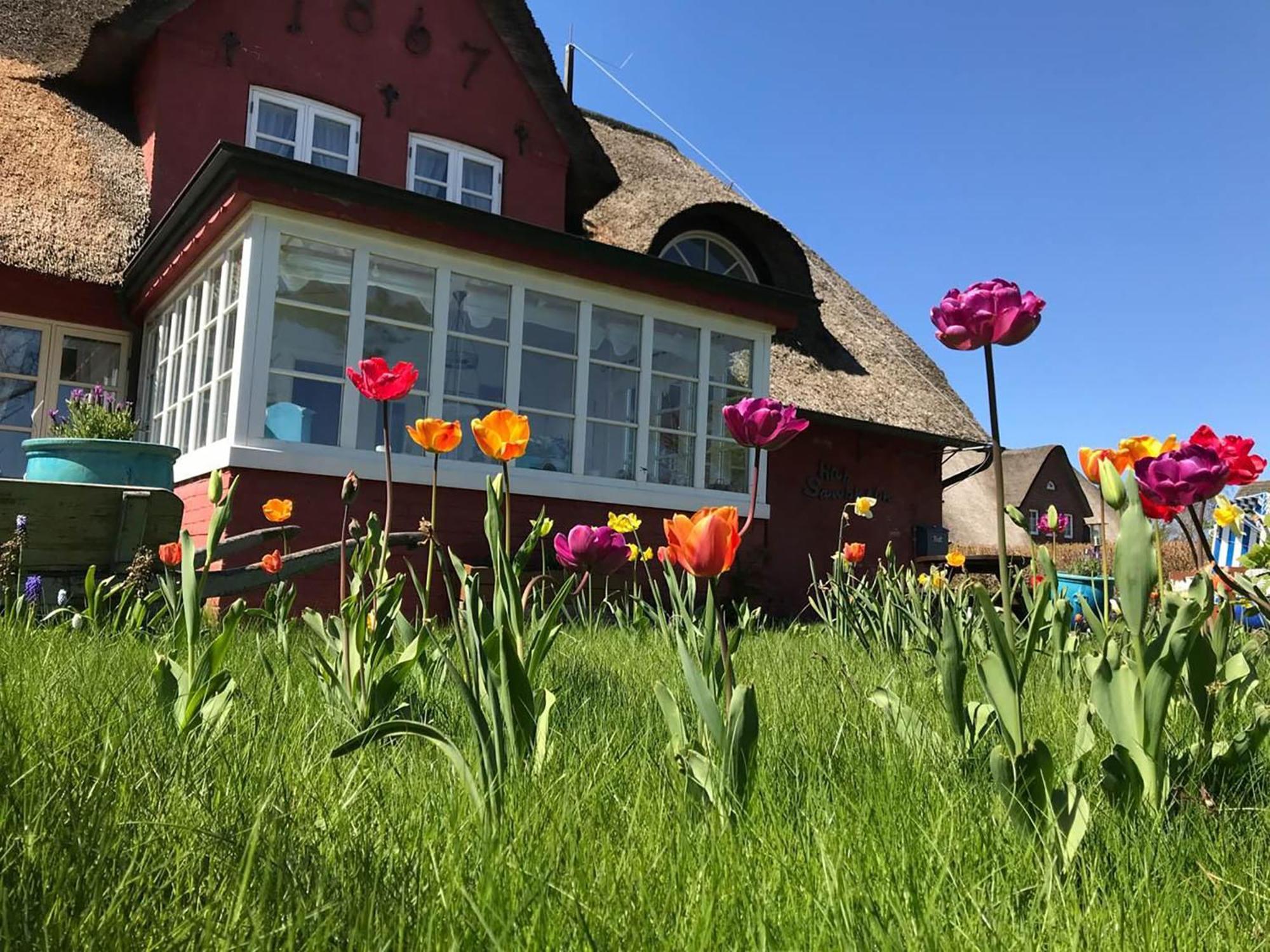 Hues Sanskiin Ferienwohnung *Hopelfask* Suddorf Buitenkant foto
