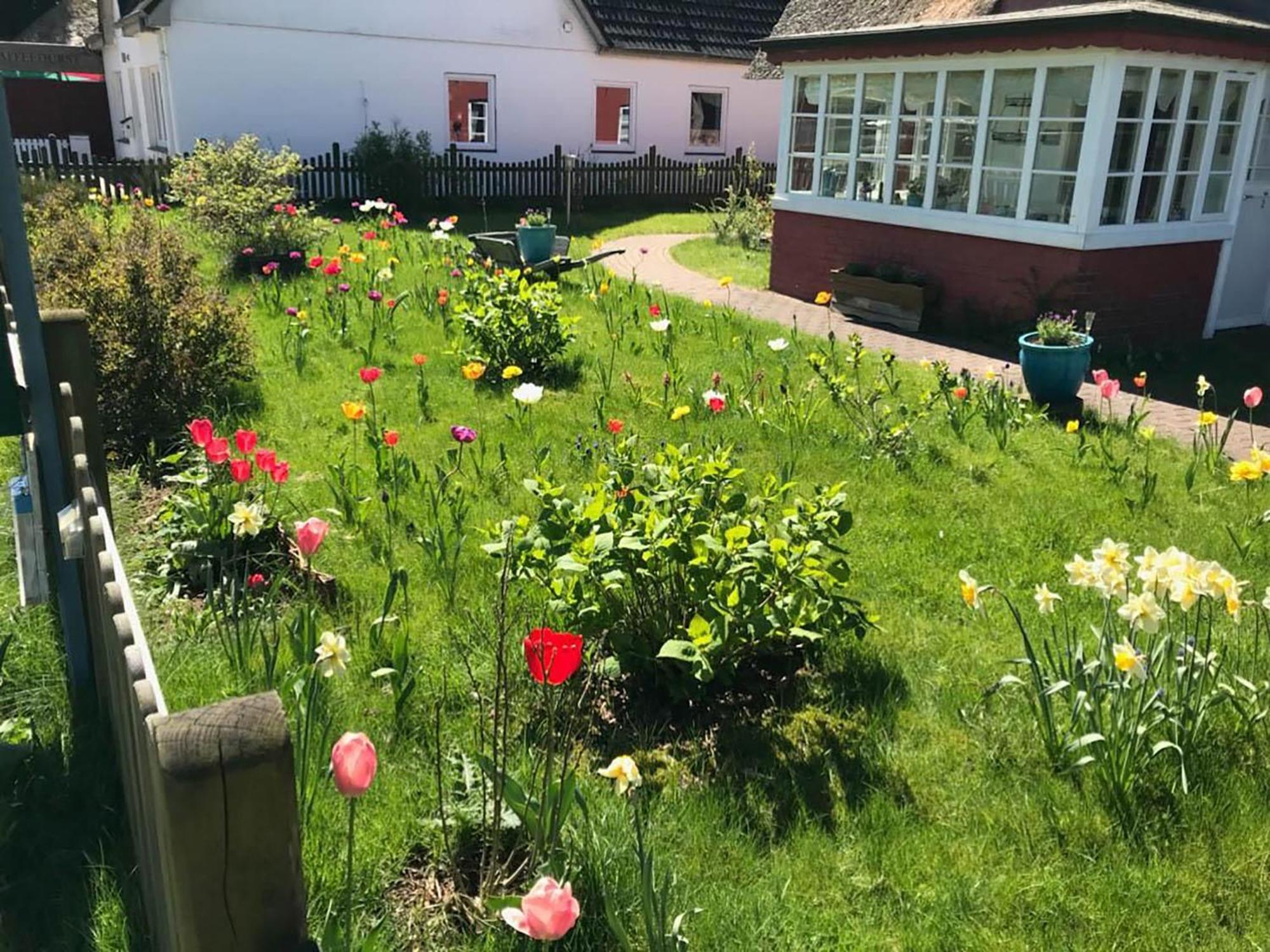 Hues Sanskiin Ferienwohnung *Hopelfask* Suddorf Buitenkant foto