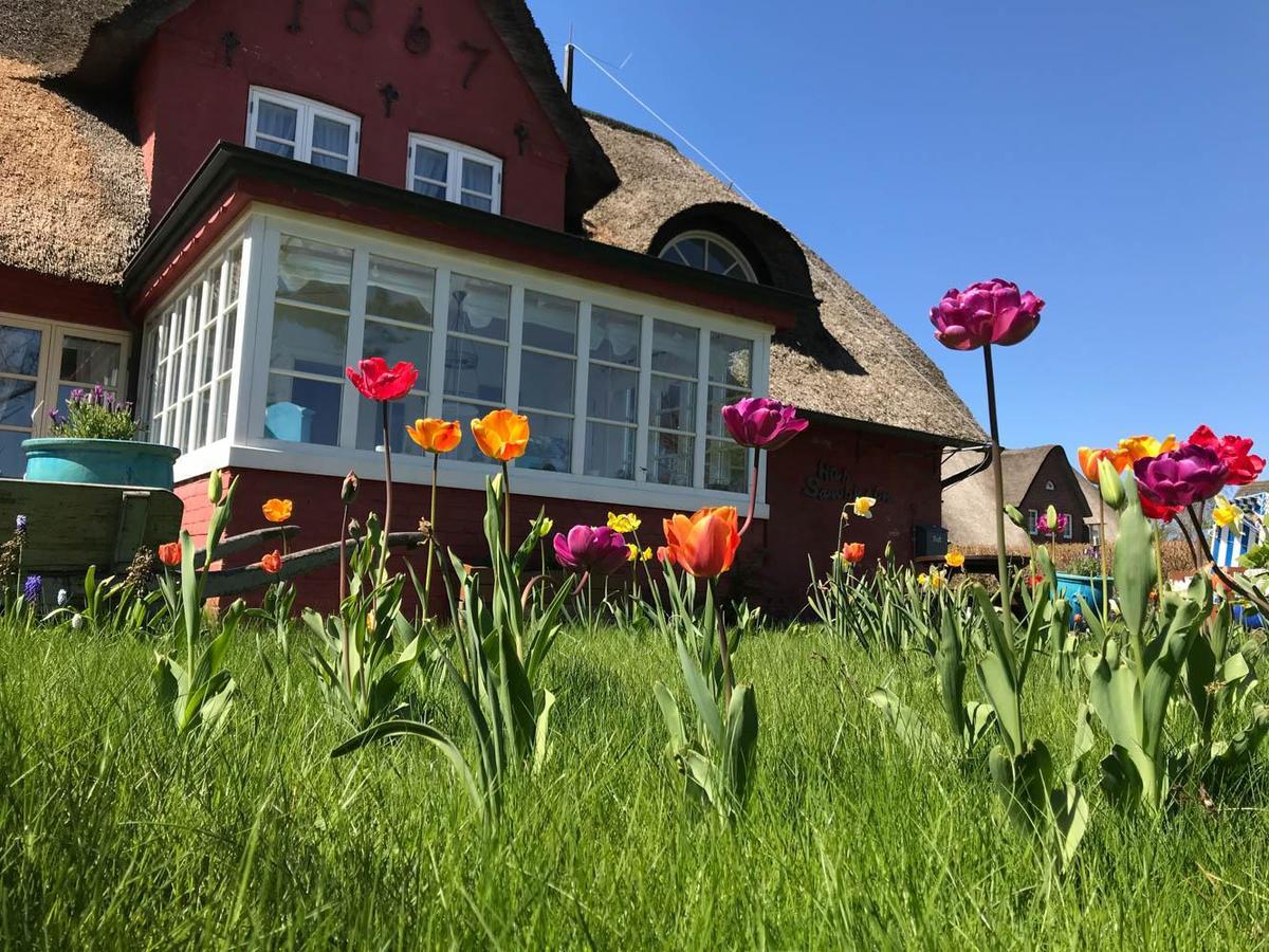 Hues Sanskiin Ferienwohnung *Hopelfask* Suddorf Buitenkant foto